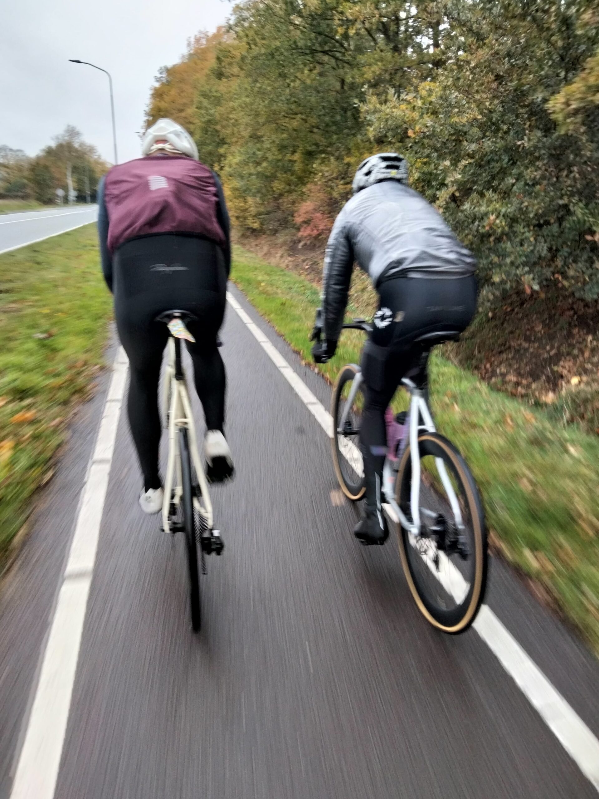 3d157e4c-2f37-4e50-a1c2-aafd53b3d02c 2